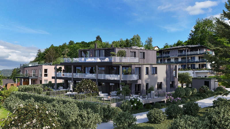Projekt "Käfer-Haus" Projekt "Käfer-Haus"